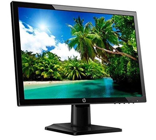 HP 19.5 Inch